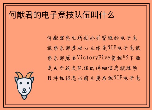 何猷君的电子竞技队伍叫什么